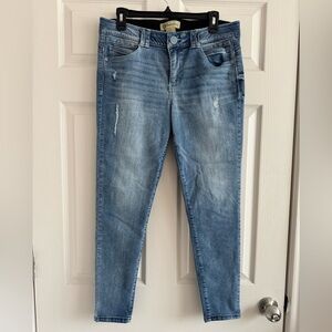 Democracy Distressed Jeans